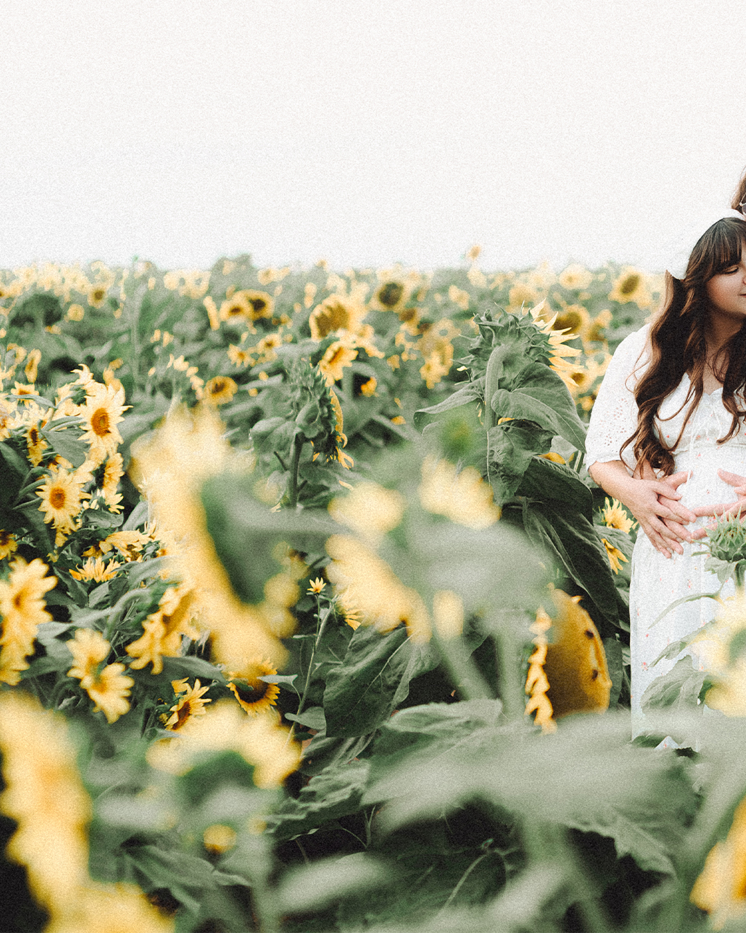 Lovestory Pregnancy Announcement Among the Sunflowers of the Wooden Shoe Tulip Farm — photograph 11 of 39